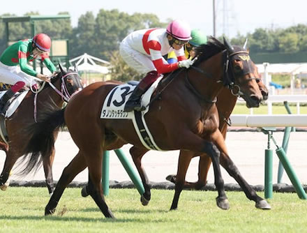 【競馬予想】[3]第74回朝日杯フューチュリティステークス(GⅠ)  /2022