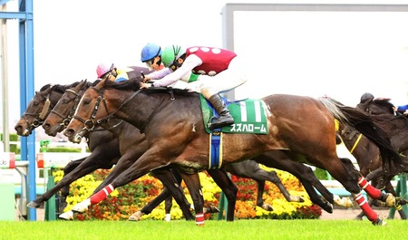 【ダービー卿CT】10番人気スズハロームが最後方一気でＶ！重賞初制覇