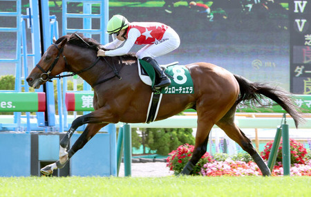 【函館記念】10番人気ヴェローチェエラ重賞初制覇！サッカーボーイの日本レコード更新