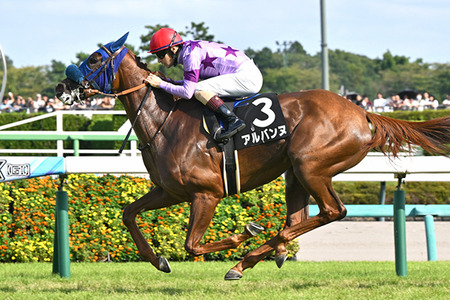 【競馬予想】[1]第77回阪神ジュベナイルフィリーズ(GⅠ) /2025