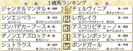 【新3歳馬格付けチェック】牡馬1位ジャンタルマンタル 牝馬1位チェルヴィニア