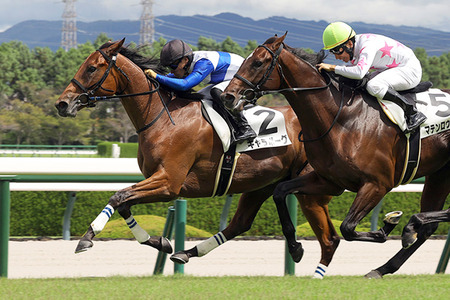 【競馬予想】第61回クイーンカップ(GⅢ)/2026