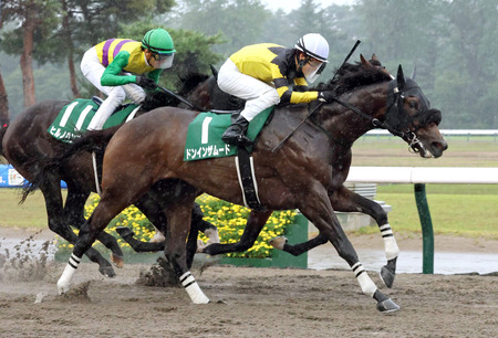 【レパードS】ドンインザムードが不良馬場制す！３連単は波乱決着