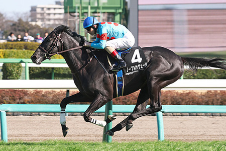 【競馬予想】[1]第33回青葉賞(GⅡ) /2026