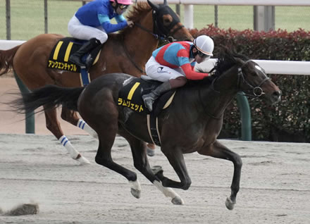 【ユニコーンS】3番人気ラムジェットが直線抜け出し快勝！3連勝で重賞初制覇