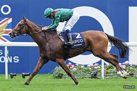 【競馬予想】[1]第45回ジャパンカップ(GⅠ) /2025