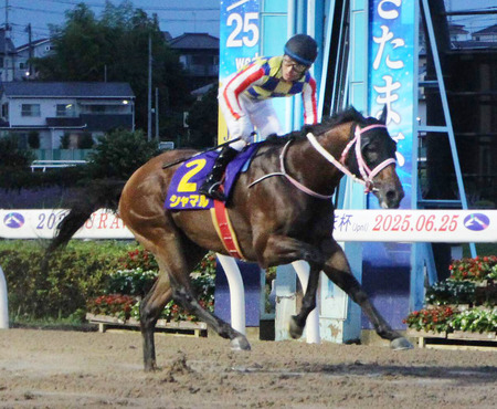 【さきたま杯】シャマルが逃げ切って圧勝！かしわ記念に続きJpn1連勝