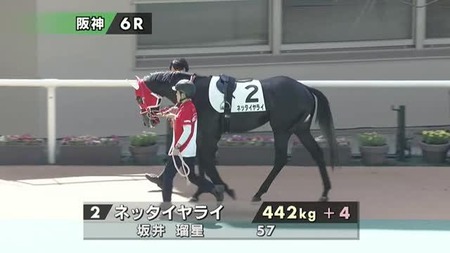 ネッタイヤライ、ドバイ出走の取り止めを発表　馬主「苦渋の決断でした」