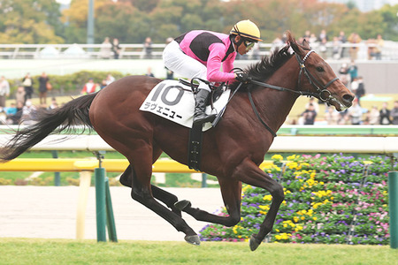 【ホープフルS】某スポーツ誌予想で全員がラヴェニューを本命にしてしまう