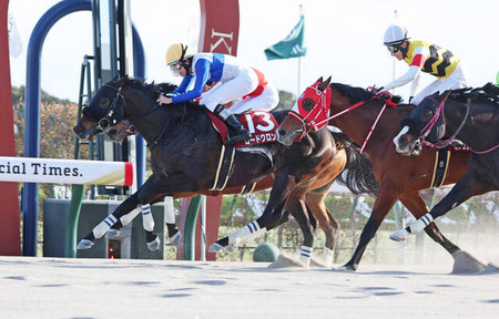 【プロキオンS】1番人気ロードクロンヌがゴール前で差し切ってＶ！重賞初制覇