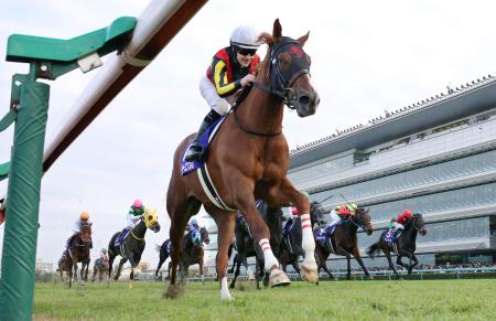 https://livedoor.blogimg.jp/ltdslip2000/imgs/b/b/bb87d436.jpg