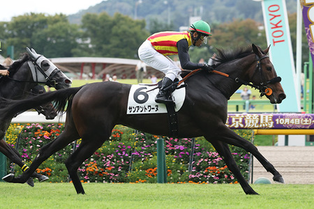 【競馬予想】[1]第42回フェアリーステークス(GⅢ) /2026