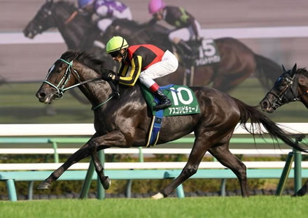 https://livedoor.blogimg.jp/ltdslip2000/imgs/b/d/bd4f55a6.jpg