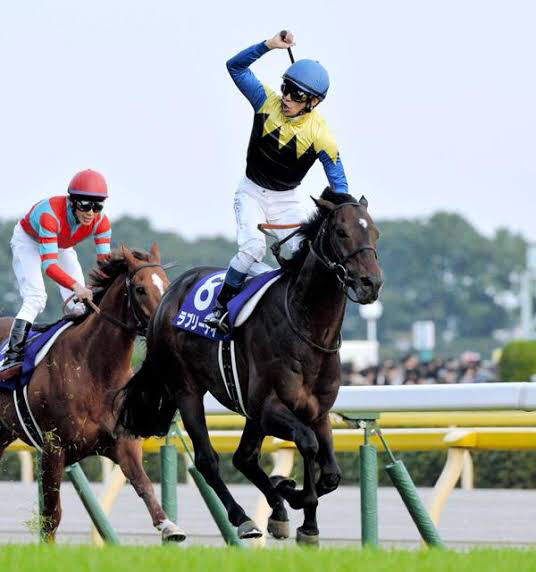 競馬 心震えるガッツポーズ集めろ うまなみ 競馬にゅーす速報 競馬 心震えるガッツポーズ集めろ うまなみ 競馬にゅーす速報