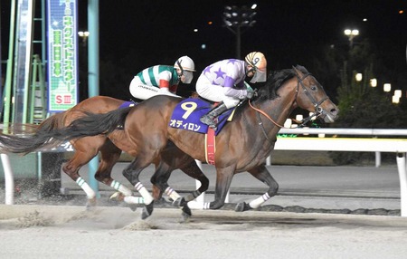 【ダイオライト記念】兵庫の7番人気オディロン差し切りV！1番人気ナルカミは5着