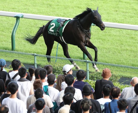 本当に謎だった馬、ライトバック