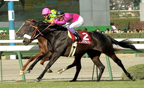 2002年の日本競馬