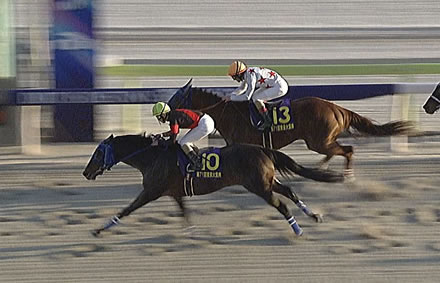 【東京大賞典】大井ディクテオンが中央勢撃破！ミッキーファイトを捕らえG1初制覇