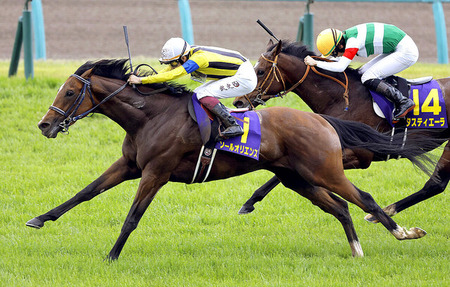 皐月賞馬ソールオリエンス、秋はセントライト記念で始動 菊花賞へ