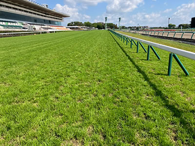 皐月賞の中山芝Cコースが超絶前残りコンクリートに変貌