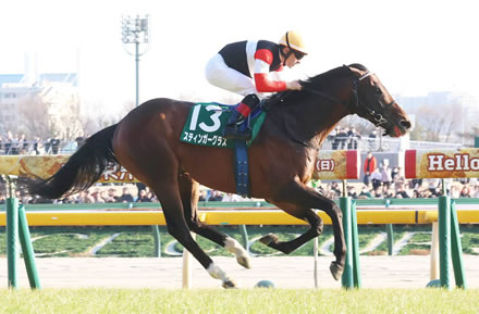 【ダイヤモンドS】スティンガーグラスが快勝！人気に応え重賞初制覇