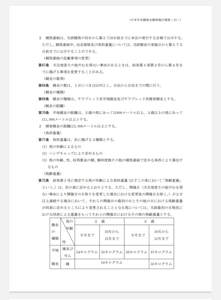 【JRA】競馬施行規程で改訂ナイター営業が可能に！レース開催時間が自由化