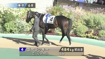 バステールを新馬で負かしたゴーラッキーについて