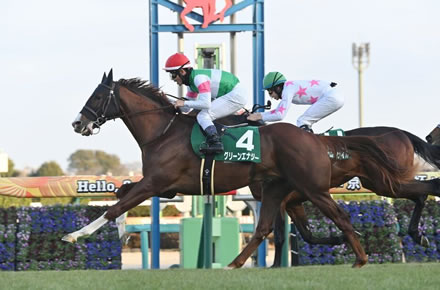【京成杯】グリーンエナジーがゴール前差し切りＶ！重賞初制覇
