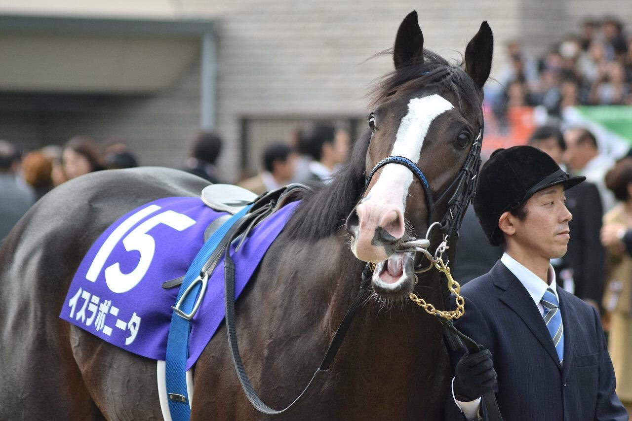 イスラボニータにかけてあげたい言葉 うまなみ 競馬にゅーす速報