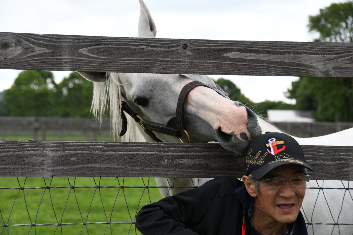 今浪厩務員がゴールドシップに再会した結果ｗｗｗｗｗｗ うまなみ 競馬にゅーす速報