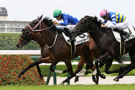 【競馬予想】[1]第33回チューリップ賞(GⅡ) /2026