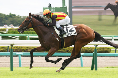 【京成杯】ポルフュロゲネトス←こんな覚えにくい馬名よくつけるな