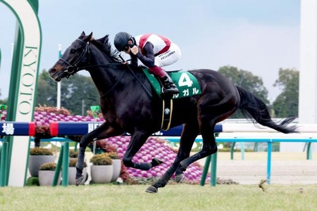 高松宮記念1番人気10着のルガルが骨折  6か月以上の休養