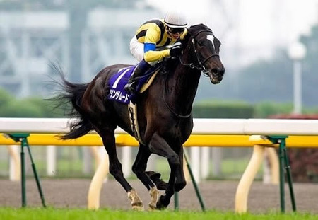 【訃報】ダンスインザムード死す25歳　桜花賞＆初代ヴィクトリアＭ覇者