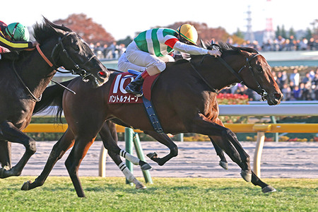 【皐月賞】パントルナイーフ、ルメール乗るけどどうなん？