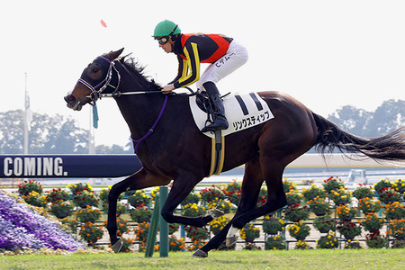 【初音S】エリ女4着1番人気リンクスティップ3勝クラスで敗れるwww