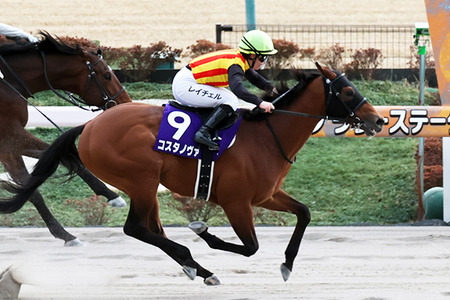 【競馬予想】[2] 第43回フェブラリーステークス(GⅠ) /2026