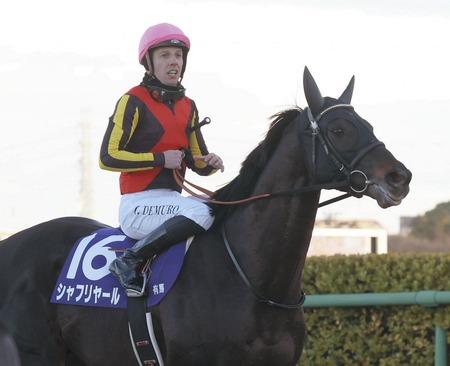【悲報】新種牡馬シャフリヤールまさかの廃用か!?