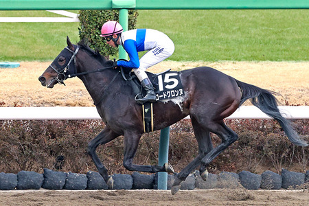 【競馬予想】第31回プロキオンステークス(GⅡ) /2026