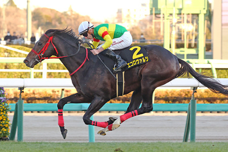 【大阪杯】エコロディノスとエコロヴァルツの違いを教えてくれ