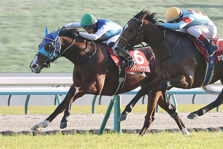 【競馬予想】[1]第63回弥生賞ディープインパクト記念(GⅡ) /2026