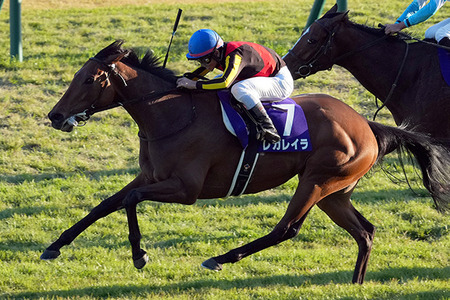 【競馬予想】[5][第70回有馬記念(GⅠ) /2025