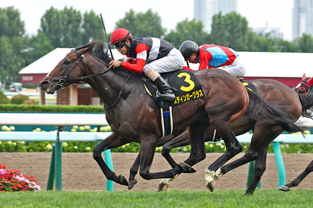 【競馬予想】第76回ダイヤモンドステークス(GⅢ) /2026