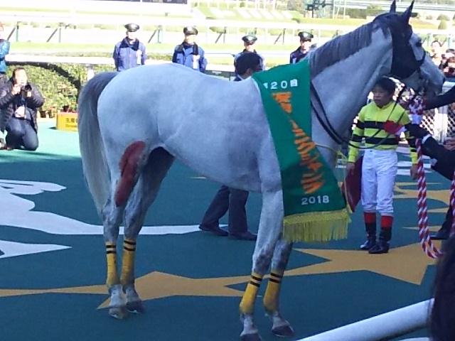 アップトゥデイトさんレース後に脚からむちゃくちゃ出血してる件 うまなみ 競馬にゅーす速報