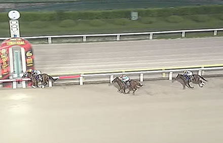 【東京ダービー】1番人気ナチュラルライズが逃げ切り完勝！ダート三冠、二冠達成