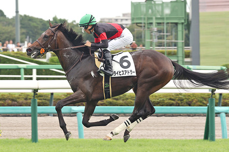 【競馬予想】[2]第63回弥生賞ディープインパクト記念(GⅡ) /2026