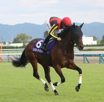 リバティアイランド中内田師「ここまで一生懸命走ったのは初めて。悔いはない」