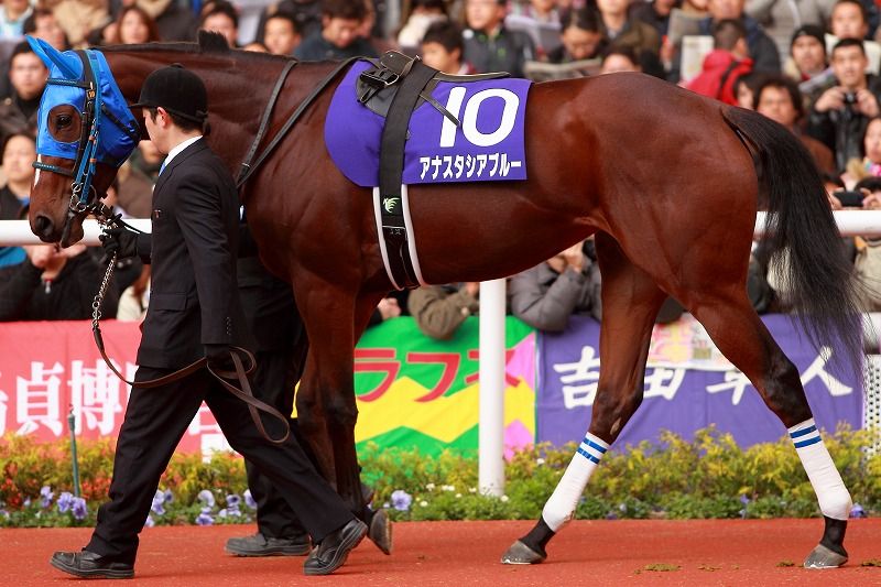 競馬 強くないけど名前だけはとにかくｶｯｺｲｲ馬 うまなみ 競馬にゅーす速報