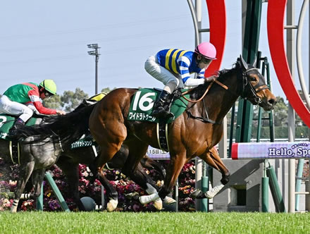 【愛知杯】10番人気ワイドラトゥール末脚が炸裂！重賞初制覇