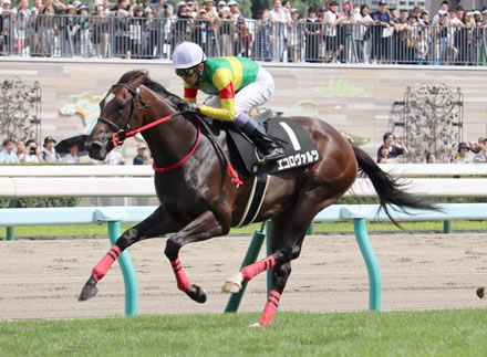 【競馬予想】[1]第58回共同通信杯(GIII) /2024